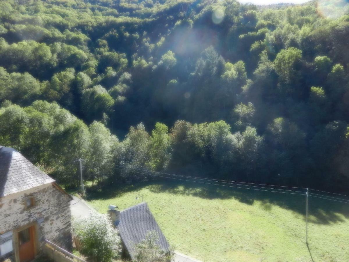 Gite Familial Fouga Bareilles Exterior photo